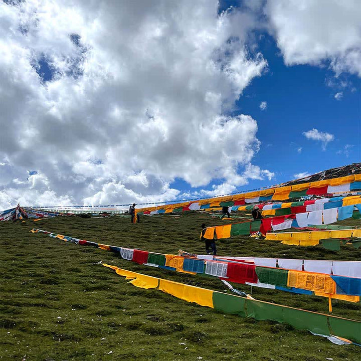 Buddha Stones Tibetan 5 Colors Windhorse Auspicious Outdoor 25 Pcs Prayer Flag - image 3