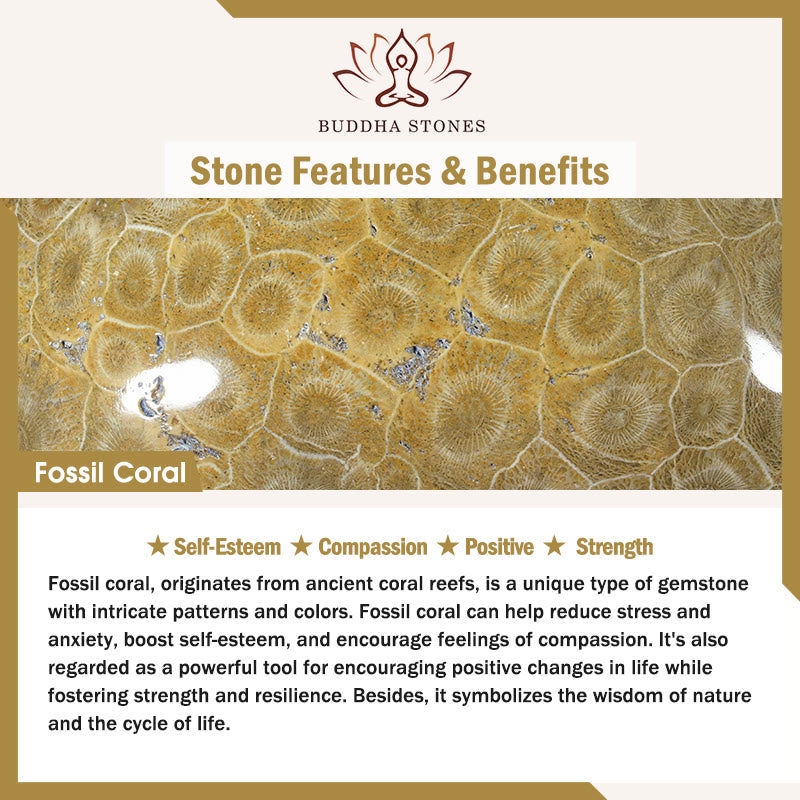 Buddha Stones Fossil Coral Compassion Bracelet - image 7