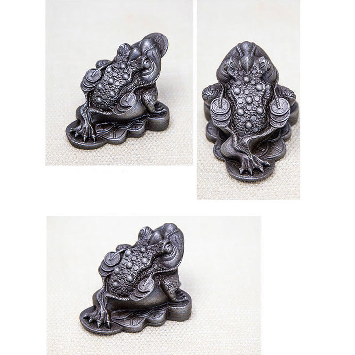 Buddha Stones Handmade Feng Shui Frog Toad Copper Coins Iron Powder Rust Cast Resin Statue Home Decoration - image 27