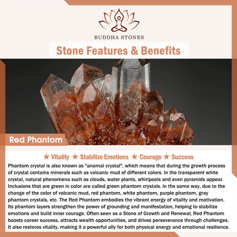 Buddha Stones Lightning Struck Wood Red Phantom Yin Yang Protection Bracelet - image 6