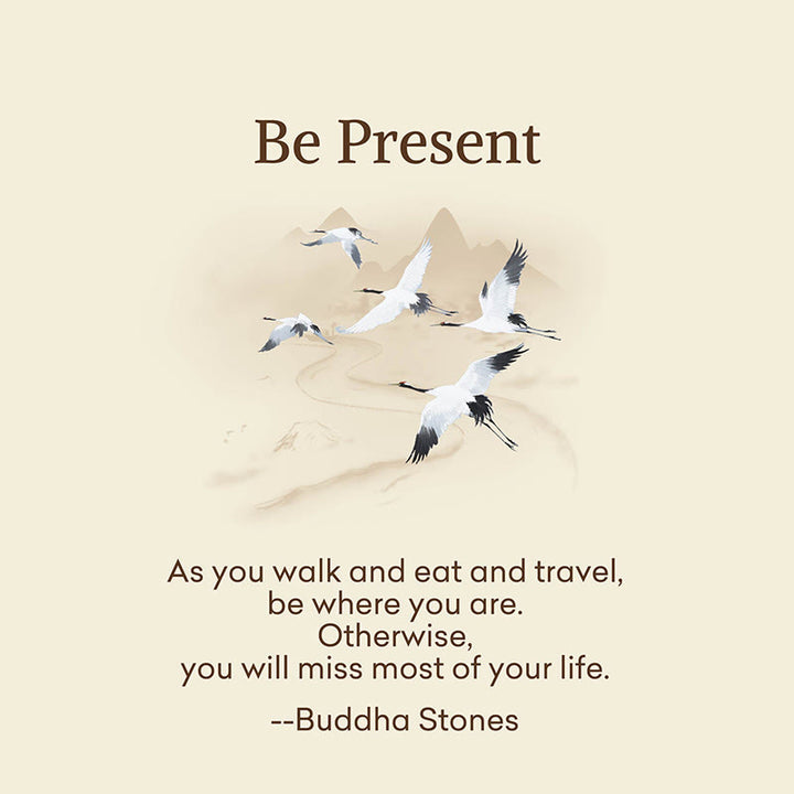 Buddha Stones "Be Present" Casual White Red Cranes Men Women Unisex Socks Includes Gift Message Card - image 1