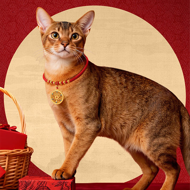 Buddha Stones Red String Bead Compass Gourd Protection Adjustable Cats Dogs Pet Collar - image 12