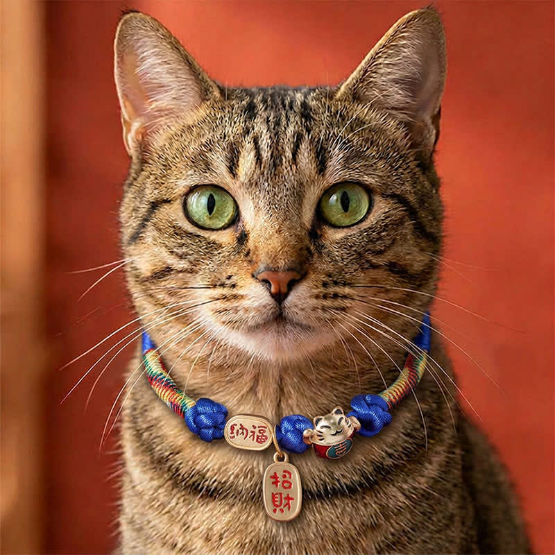 Buddha Stones Red String Plaited Auspicious Fu Character Protection Adjustable Cats Pet Collar - Blue - 18-25cm - image 8