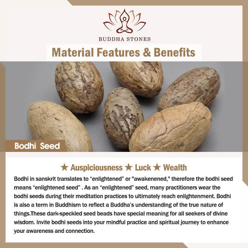 Buddha Stones Natural Bodhi Seed Cat Paw Design Wealth Bracelet - image 5