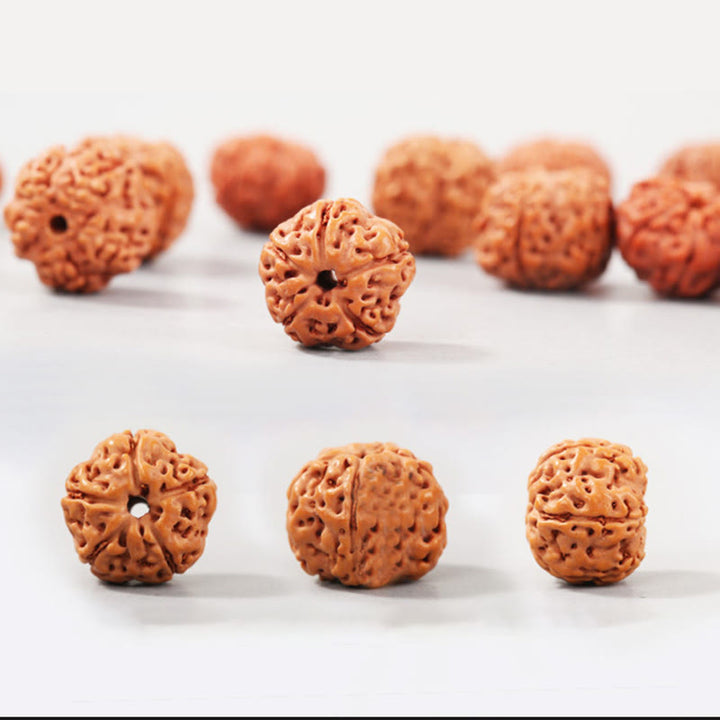 Buddha Stones Tibet Rudraksha Bodhi Seed Wealth Auspiciousness Bracelet - image 4