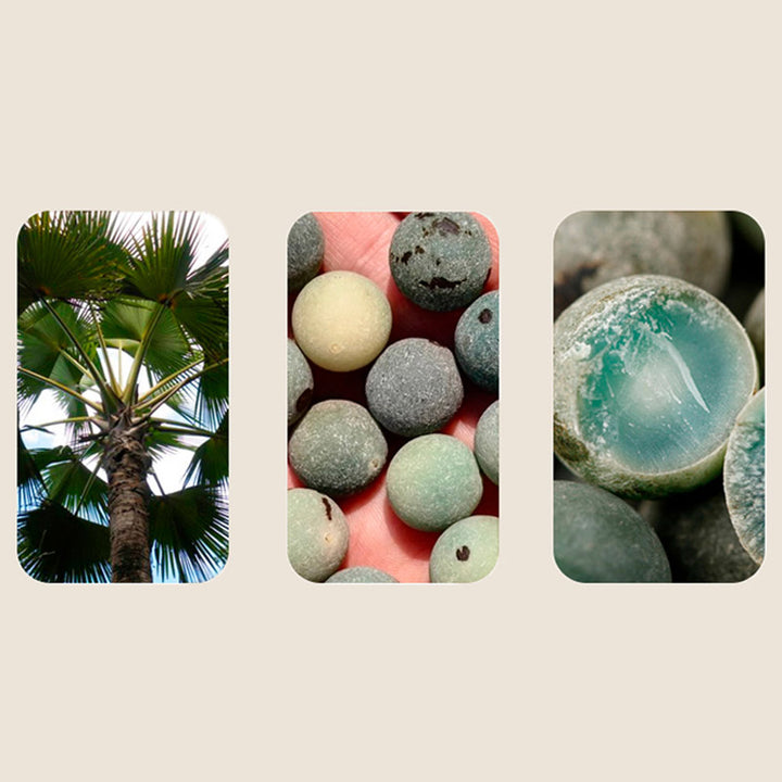 Buddha Stones 108 Beads Bodhi Seed Blessing Meditation Bracelet Mala - image 10