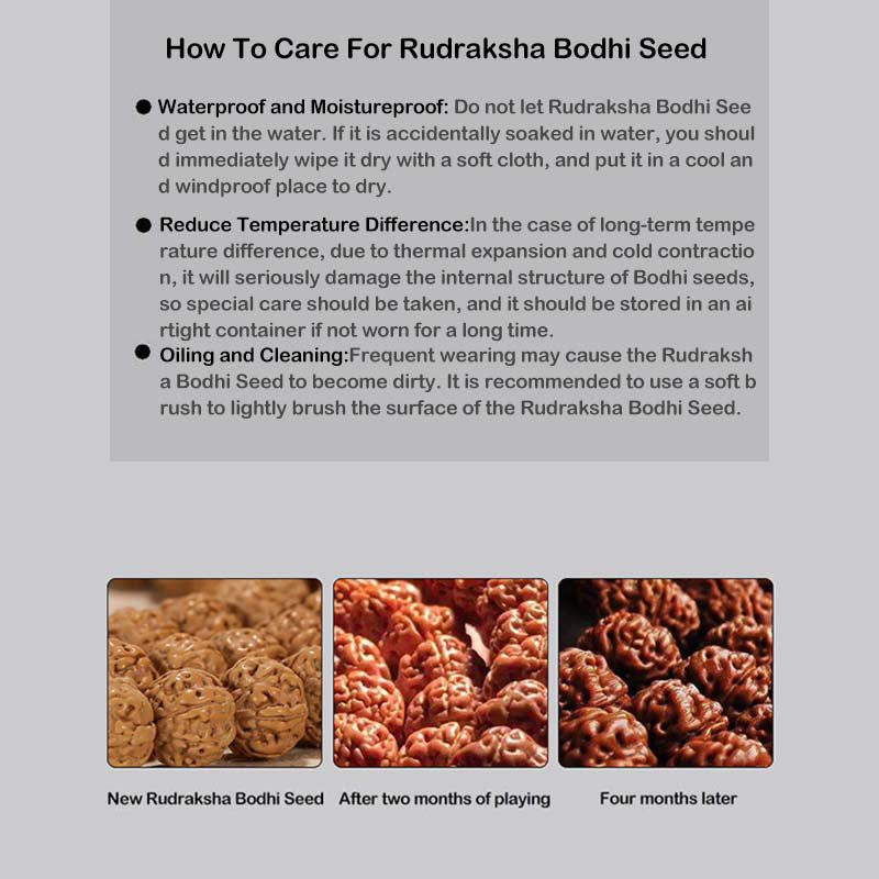 Buddha Stones Tibetan Rudraksha Bodhi Seed Agate Wealth Bracelet - image 6