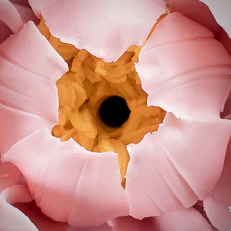 Buddha Stones Tibetan Lotus Blessing Ceramic Stick Incense Burner Decoration - image 4