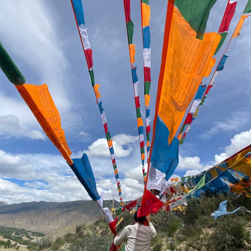 Buddha Stones Tibetan 5 Colors Windhorse Auspicious Outdoor 25 Pcs Prayer Flag - image 11