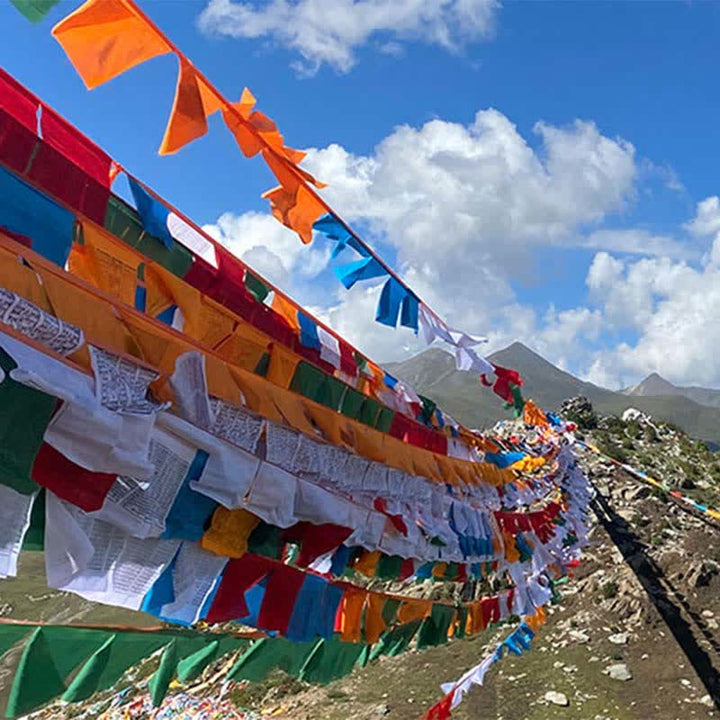 Buddha Stones Tibetan 5 Colors Windhorse Auspicious Outdoor 25 Pcs Prayer Flag - image 7