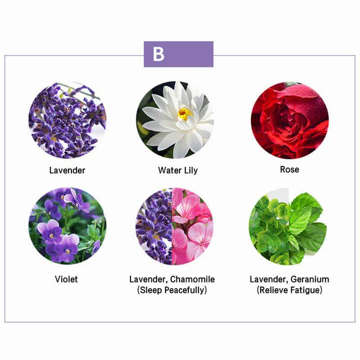 Buddha Stones 6Pcs Lavender Orange Jasmine Lemongrass Soothing Aromatherapy Healing Essential Oils Set - image 6