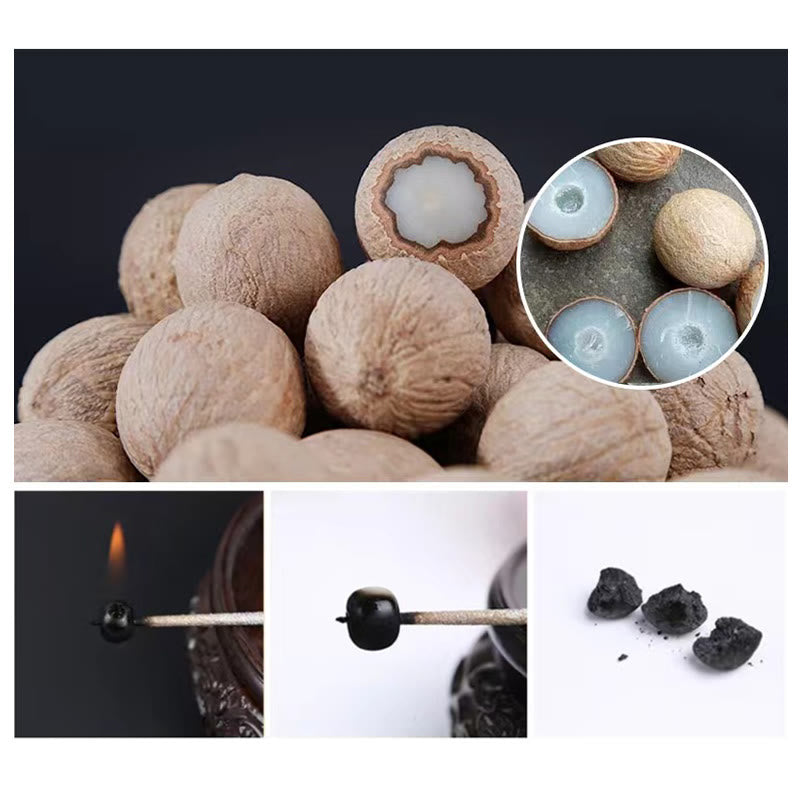 Buddha Stones Natural Bodhi Seed Red Agate Bodhi Calm Harmony Engraved Pumpkin Bead Lotus Bracelet - image 15